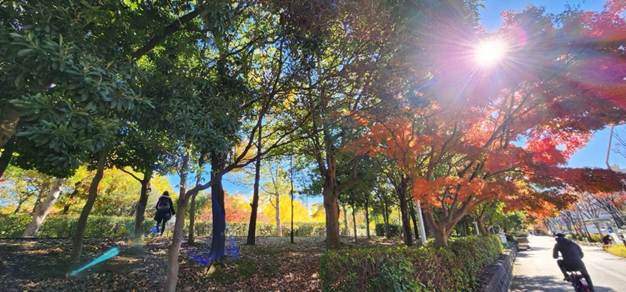 緑の木々

AI 生成コンテンツは誤りを含む可能性があります。